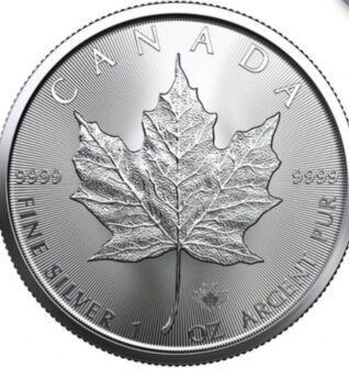 2022 Canadian Silver Maple Leaf Tube - Image 3