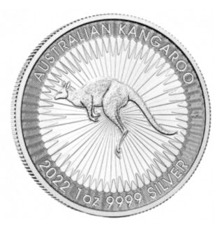 Australian Silver kangaroo 1 Oz - Image 4